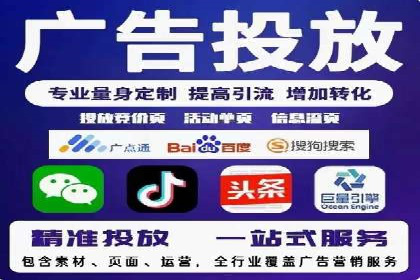 专业sem托管服务案例，揭秘广告投放优化策略
